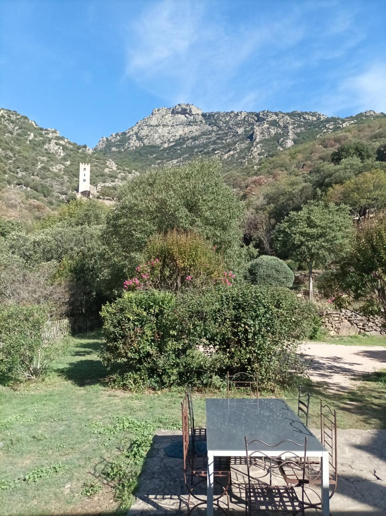 Chateau De Colombieres Sur Orb Exteriér fotografie