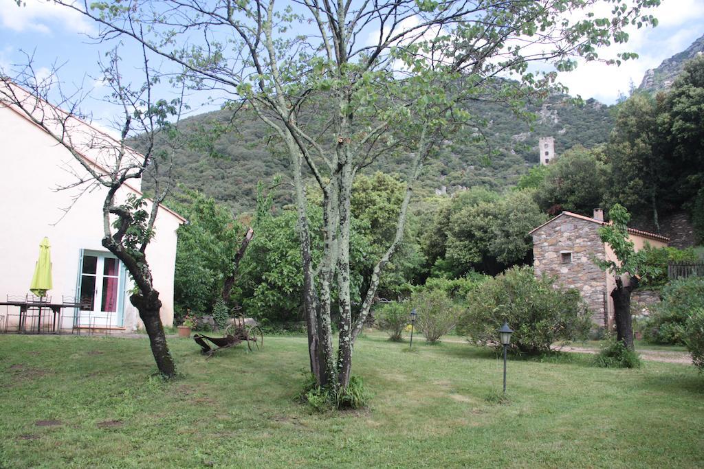 Chateau De Colombieres Sur Orb Exteriér fotografie